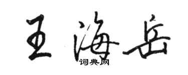 骆恒光王海岳行书个性签名怎么写