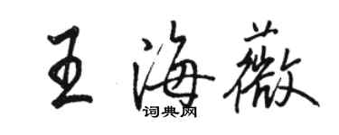 骆恒光王海薇行书个性签名怎么写