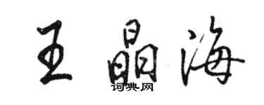 骆恒光王晶海行书个性签名怎么写