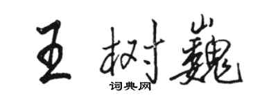 骆恒光王树巍行书个性签名怎么写