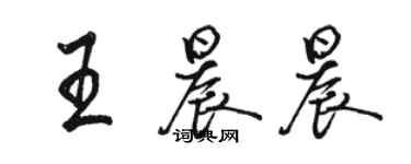 骆恒光王晨晨行书个性签名怎么写