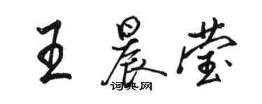 骆恒光王晨莹行书个性签名怎么写