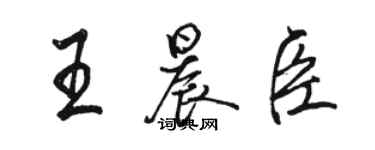 骆恒光王晨臣行书个性签名怎么写