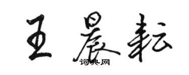 骆恒光王晨耘行书个性签名怎么写