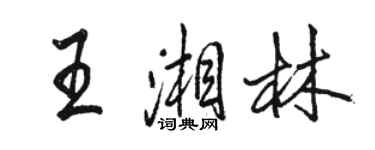骆恒光王湘林行书个性签名怎么写