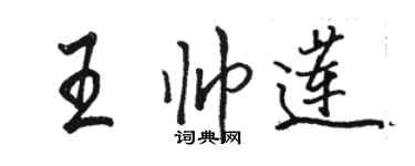 骆恒光王帅莲行书个性签名怎么写