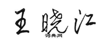 骆恒光王晓江行书个性签名怎么写