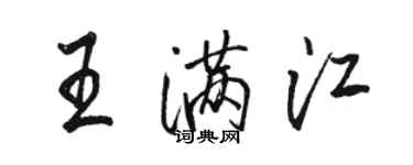 骆恒光王满江行书个性签名怎么写