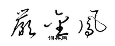 梁锦英严金凤草书个性签名怎么写