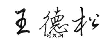 骆恒光王德松行书个性签名怎么写