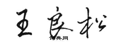 骆恒光王良松行书个性签名怎么写