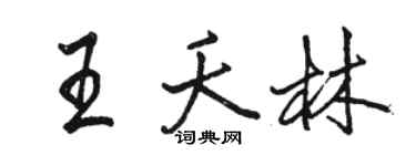 骆恒光王夭林行书个性签名怎么写