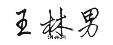 骆恒光王林男行书个性签名怎么写