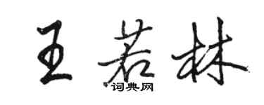 骆恒光王若林行书个性签名怎么写
