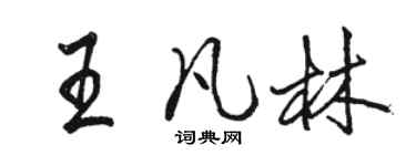 骆恒光王凡林行书个性签名怎么写