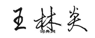骆恒光王林炎行书个性签名怎么写