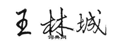 骆恒光王林城行书个性签名怎么写