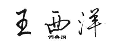 骆恒光王西洋行书个性签名怎么写