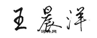 骆恒光王晨洋行书个性签名怎么写