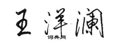 骆恒光王洋澜行书个性签名怎么写