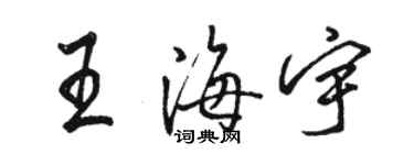 骆恒光王海宇行书个性签名怎么写