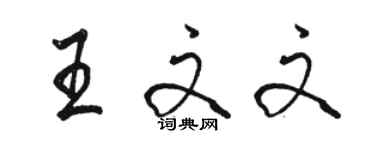 骆恒光王文文行书个性签名怎么写
