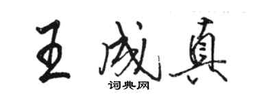 骆恒光王成真行书个性签名怎么写