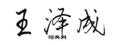 骆恒光王泽成行书个性签名怎么写