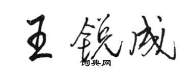 骆恒光王锐成行书个性签名怎么写