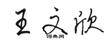 骆恒光王文欣行书个性签名怎么写