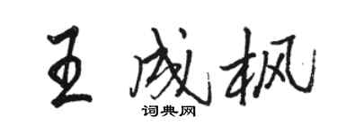 骆恒光王成枫行书个性签名怎么写