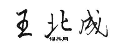 骆恒光王北成行书个性签名怎么写