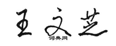 骆恒光王文芝行书个性签名怎么写