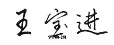 骆恒光王宝进行书个性签名怎么写