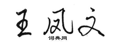 骆恒光王凤文行书个性签名怎么写