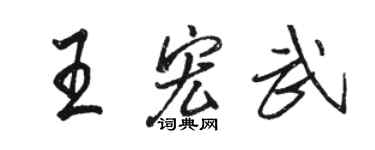 骆恒光王宏武行书个性签名怎么写