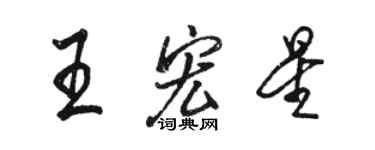 骆恒光王宏星行书个性签名怎么写
