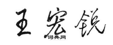 骆恒光王宏锐行书个性签名怎么写