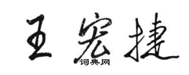 骆恒光王宏捷行书个性签名怎么写
