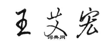 骆恒光王艾宏行书个性签名怎么写