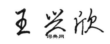 骆恒光王兴欣行书个性签名怎么写