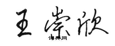 骆恒光王崇欣行书个性签名怎么写