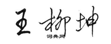 骆恒光王柳坤行书个性签名怎么写