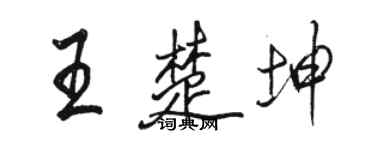 骆恒光王楚坤行书个性签名怎么写