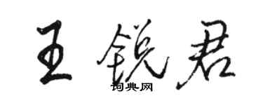 骆恒光王锐君行书个性签名怎么写
