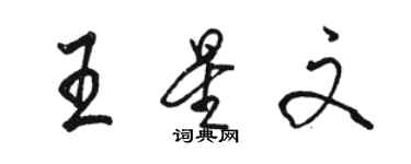 骆恒光王星文行书个性签名怎么写