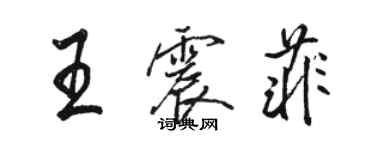 骆恒光王震菲行书个性签名怎么写