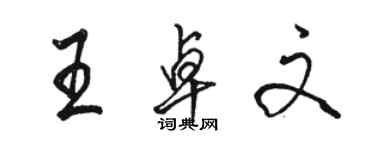 骆恒光王卓文行书个性签名怎么写