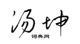 梁锦英汤坤草书个性签名怎么写