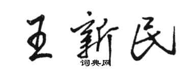 骆恒光王新民行书个性签名怎么写